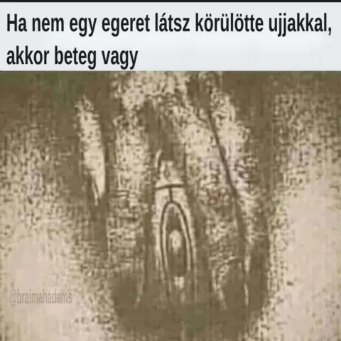 #VK1762245808
