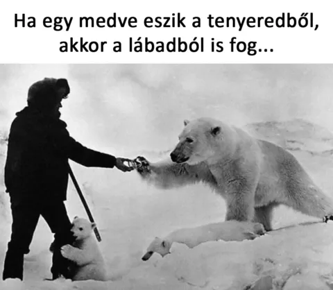 #VK1762358403