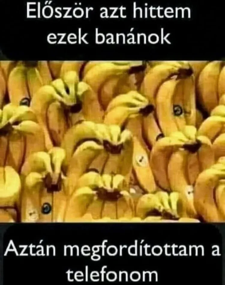 #VK1762359286 #VK1762359286