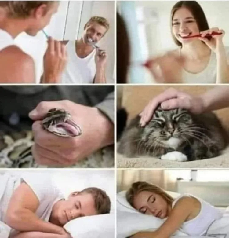 #VK1762369906 #VK1762369906