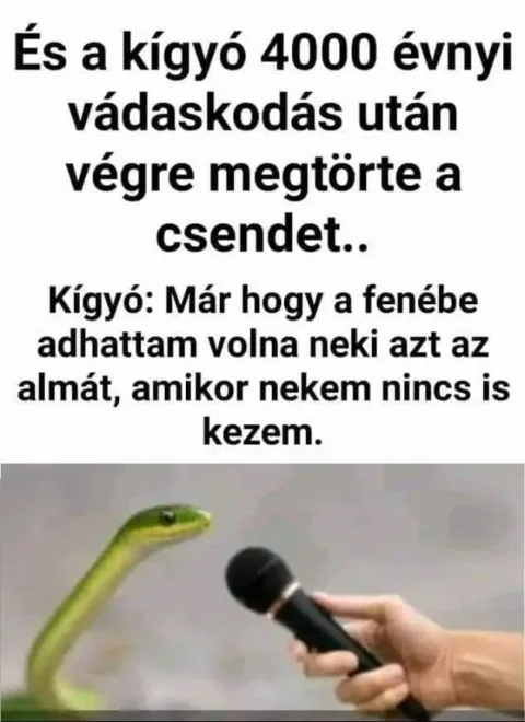 #VK1762431906