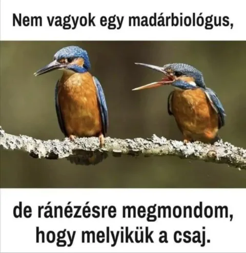 #VK1762447682