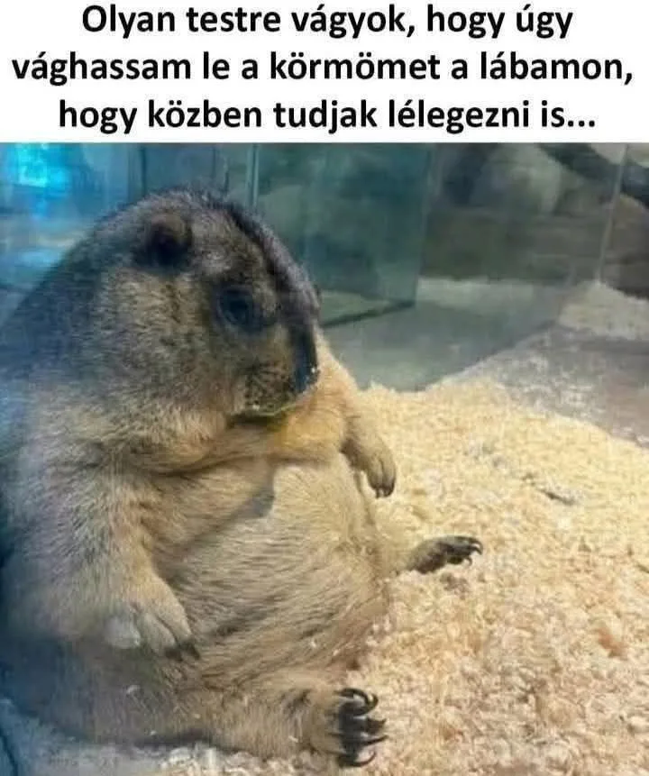 #VK1762452020 #VK1762452020