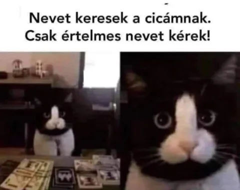 #VK1762470139