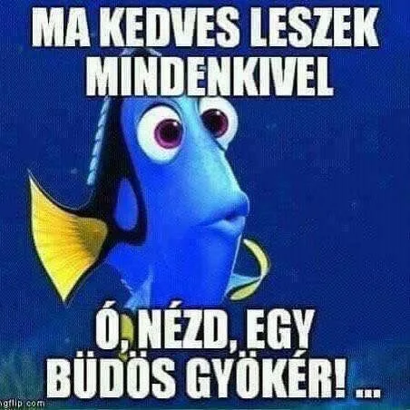 #VK1762515533