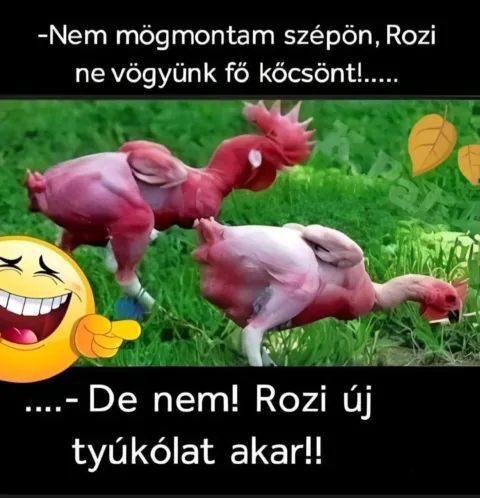 #VK1762542012