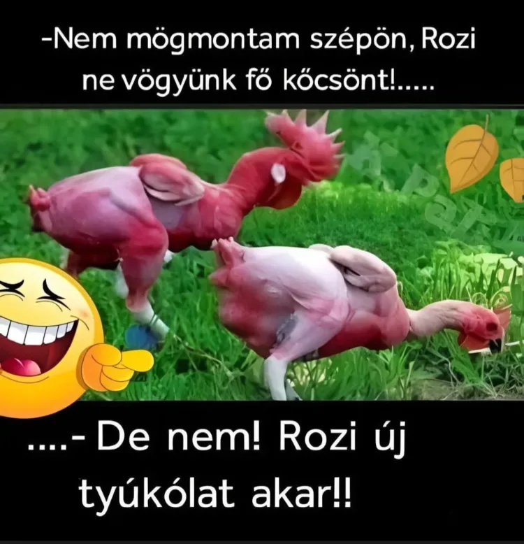 #VK1762542012 #VK1762542012