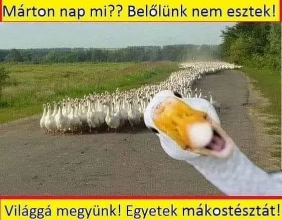 #VK1762587004 #VK1762587004
