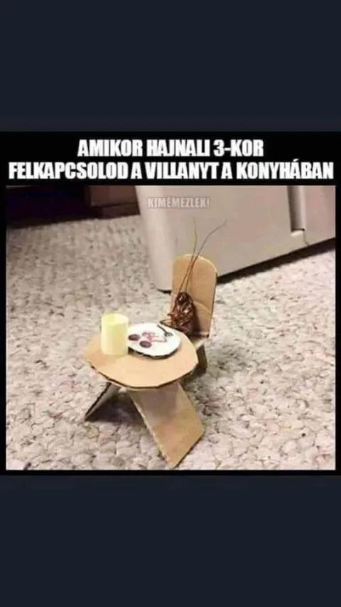 #VK1762659584