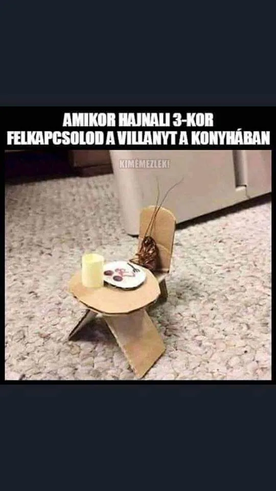 #VK1762659584 #VK1762659584