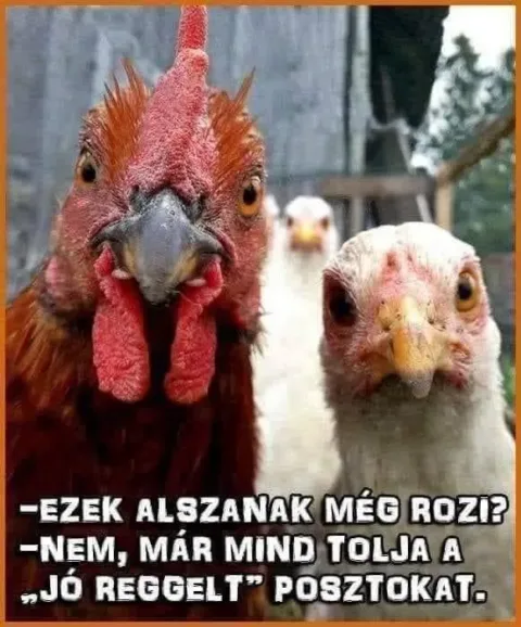 #VK1762659941