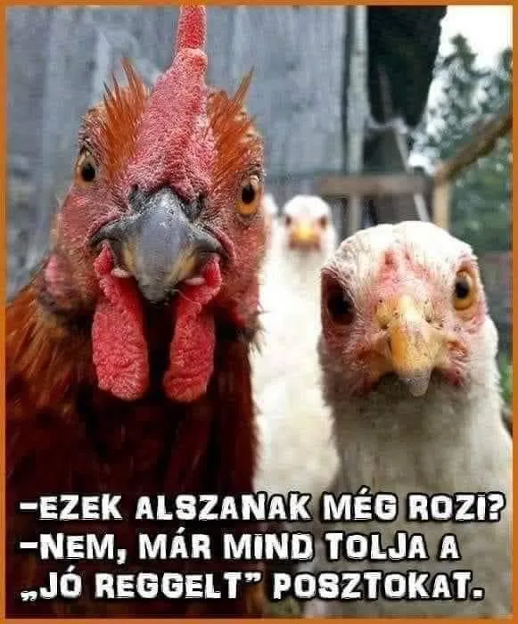 #VK1762659941 #VK1762659941