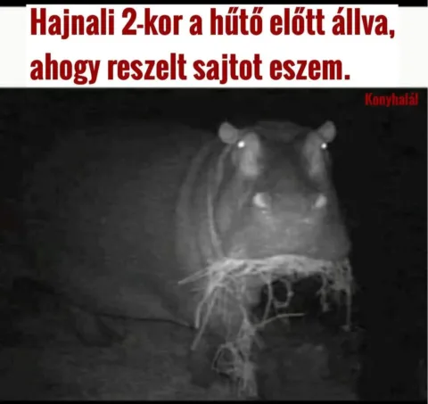 #VK1762674615