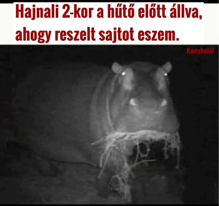 #VK1762674615 #VK1762674615