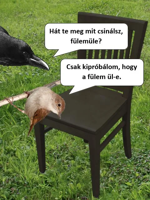 #VK1762687806