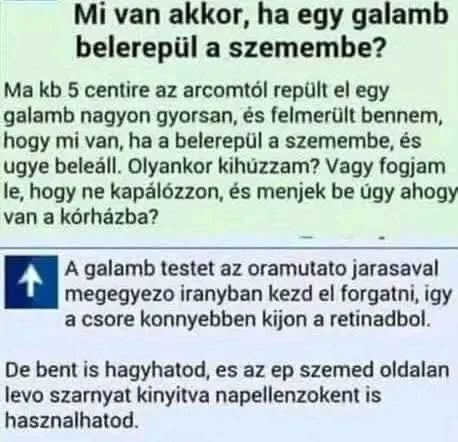 #VK1762702289