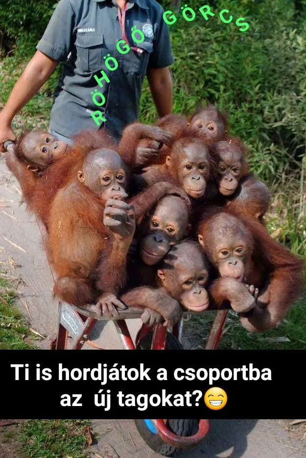 #VK1762756692 #VK1762756692
