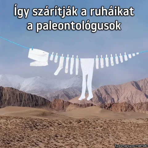 #VK1762851387