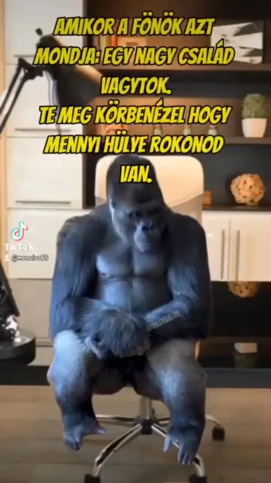 #VK1762869481 #VK1762869481