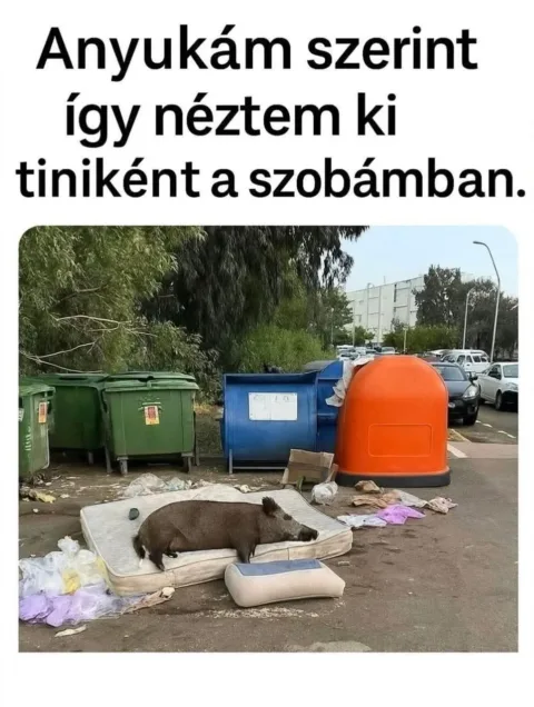 #VK1762934422