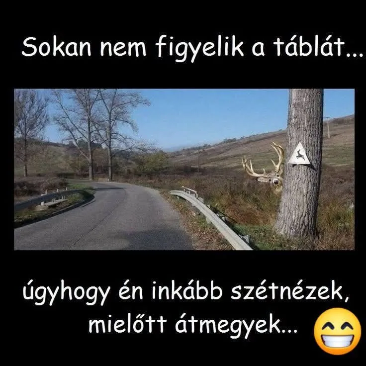 #VK1762975806 #VK1762975806