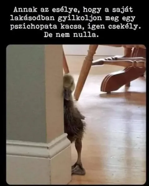 #VK1763009612