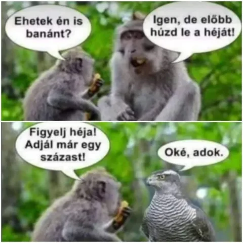 #VK1763048897