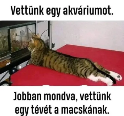 #VK1763062205