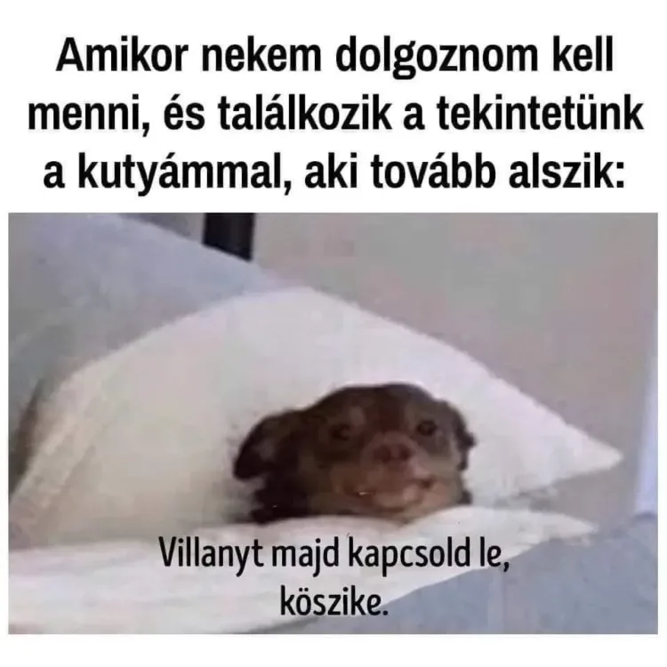 #VK1763188935 #VK1763188935