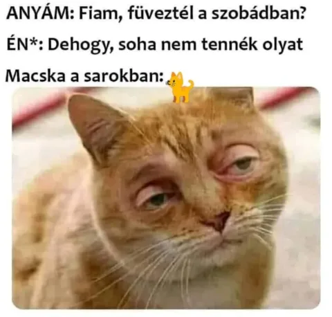 #VK1763202533