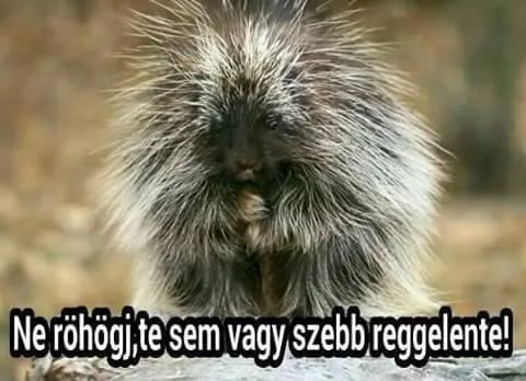 #VK1763359224