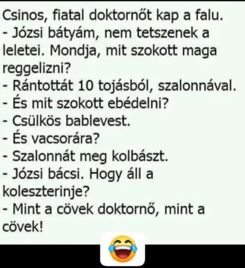 Csinos, fiatal doktornőt kap a falu...
