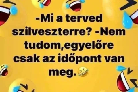 Mi a terved szilveszterre?