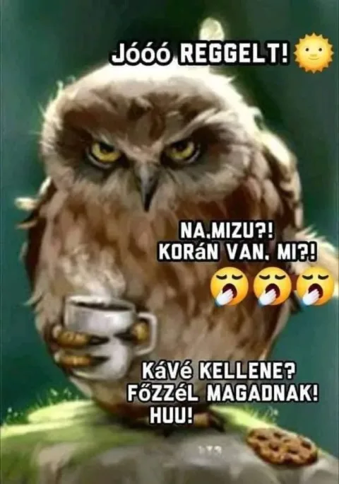 Jóóó reggelt! Na, mizu?! Korán van. Mi?!