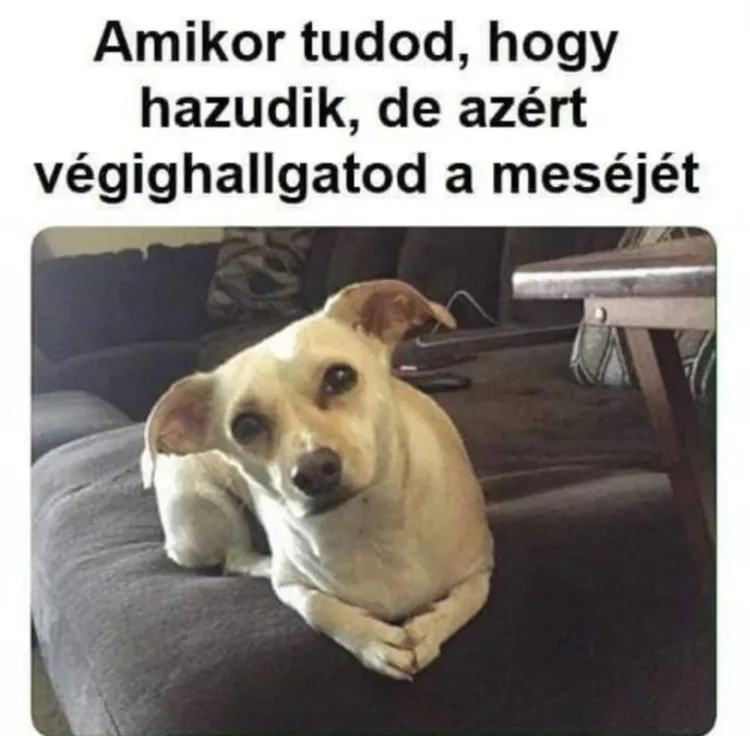#VK1763462599 #VK1763462599
