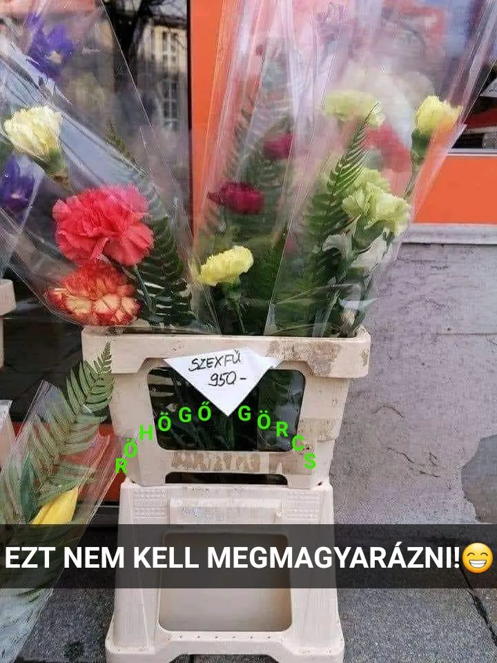 EZT NEM KELL MEGMAGYARÁZNI! EZT NEM KELL MEGMAGYARÁZNI!