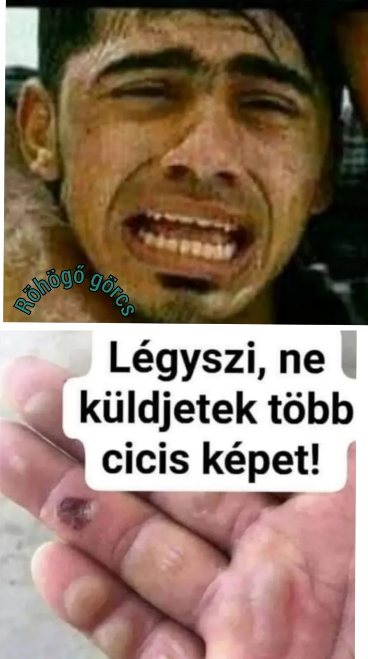 Légyszi, ne küldjetek több cicis képet! Légyszi, ne küldjetek több cicis képet!