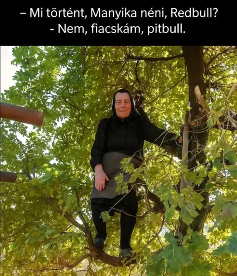 #VK1763647298