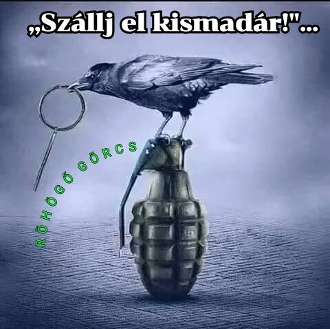 #VK1763713284