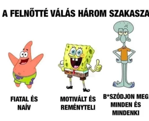 #VK1763721373
