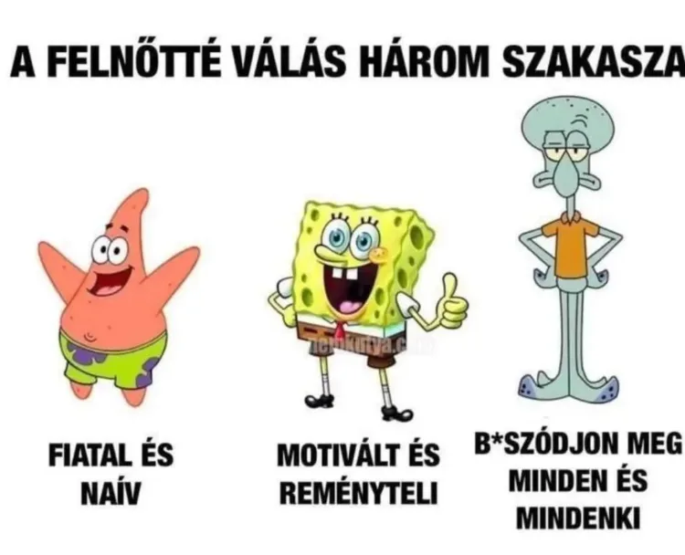 #VK1763721373 #VK1763721373