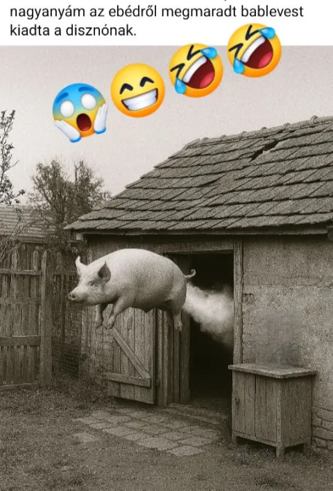 #VK1763838027