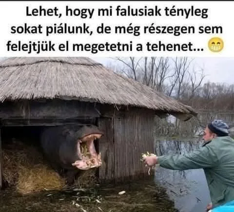 #VK1763839804