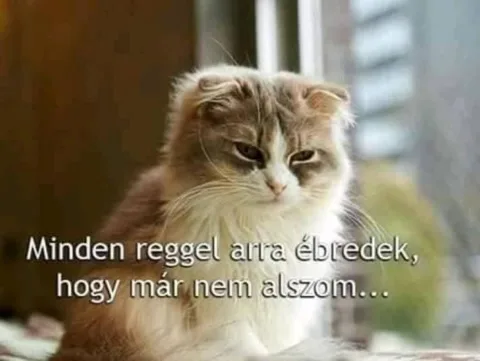 #VK1763877615