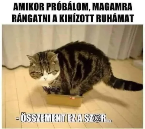 #VK1764063969