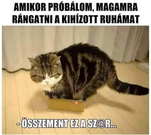 #VK1764063969 #VK1764063969