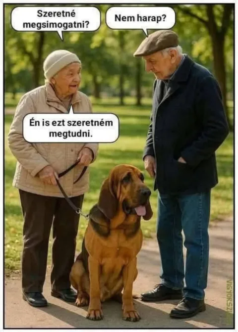 #VK1764186341