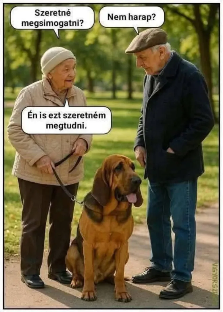 #VK1764186341 #VK1764186341