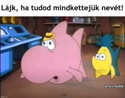 #VK1764246108