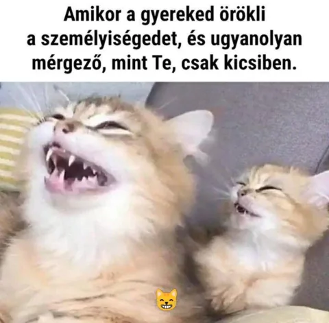 #VK1764258749 #VK1764258749
